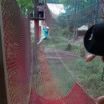 phoca_thumb_m_vp 2.den 248 Fotogalerie
